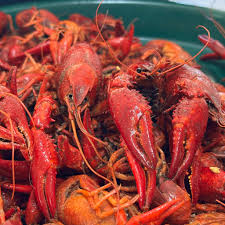 Sherry's Live Crawfish